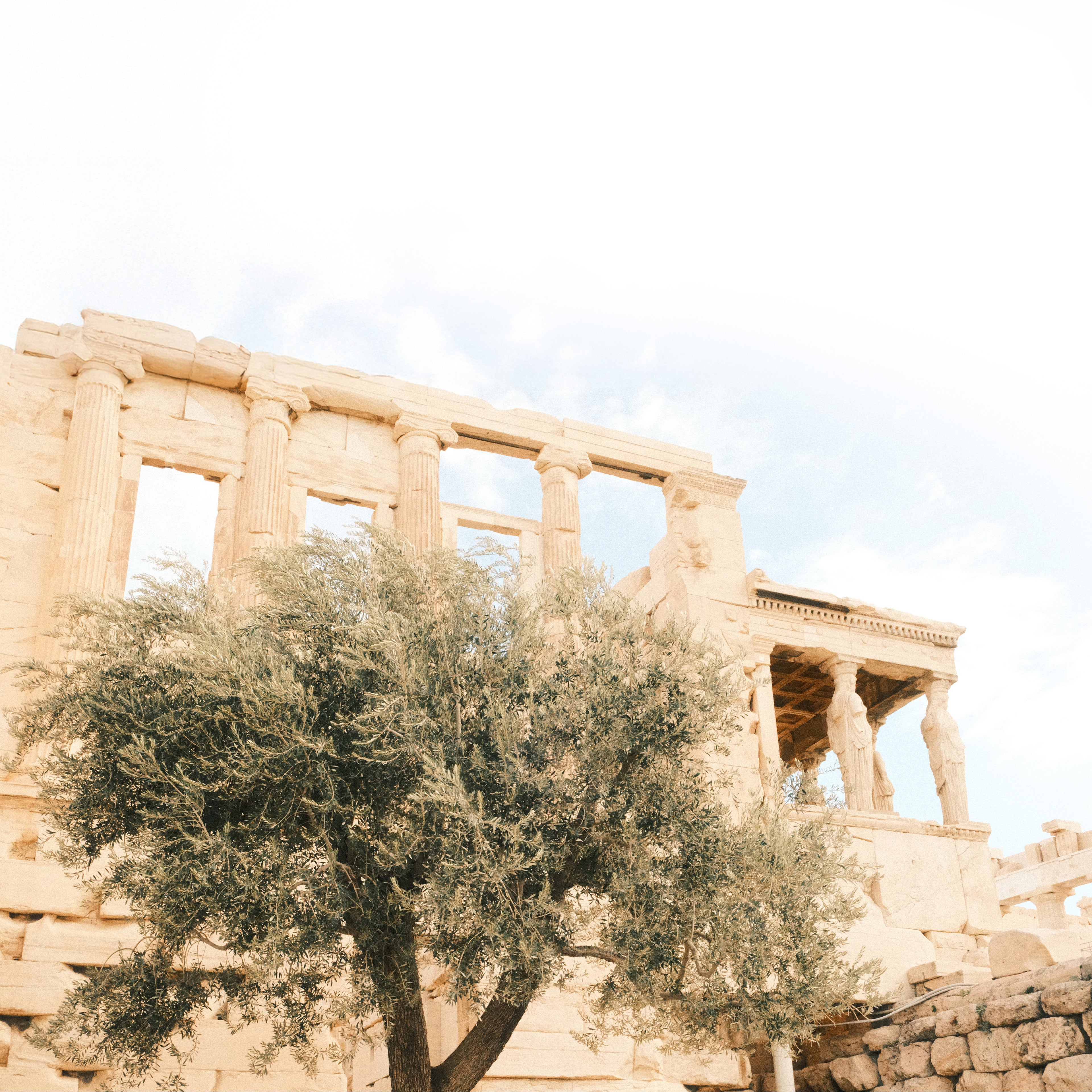 Ancient stone ruins with a tree in the foreground against a clear sky